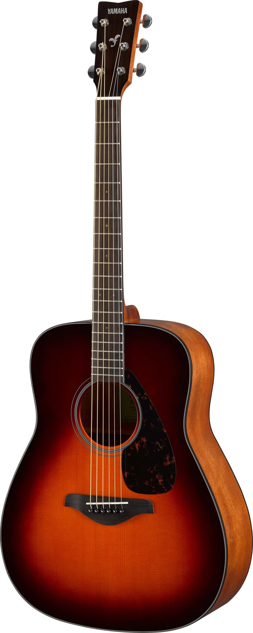 Đàn Guitar Yamaha FG800